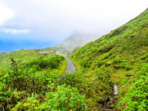 La Soufriere Volcano